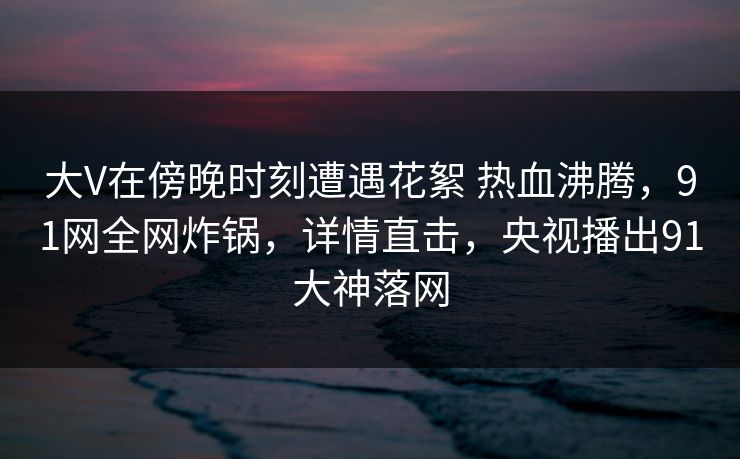大V在傍晚时刻遭遇花絮 热血沸腾，91网全网炸锅，详情直击，央视播出91大神落网