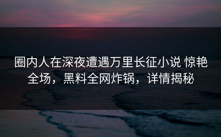 圈内人在深夜遭遇万里长征小说 惊艳全场，黑料全网炸锅，详情揭秘