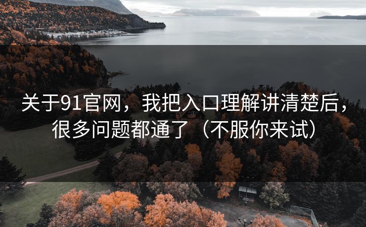 关于91官网，我把入口理解讲清楚后，很多问题都通了（不服你来试）